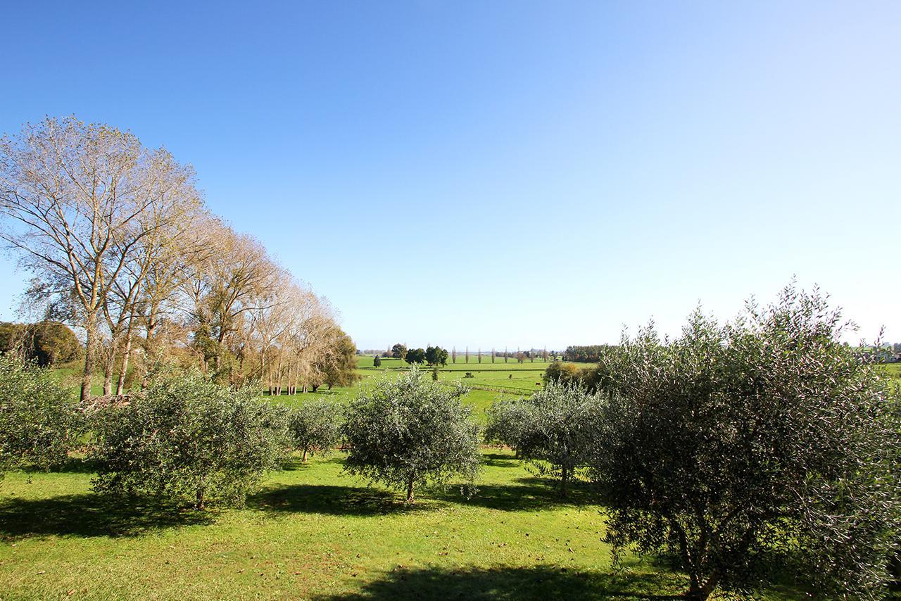 Ohaupo Olives Bed & Breakfast Екстериор снимка